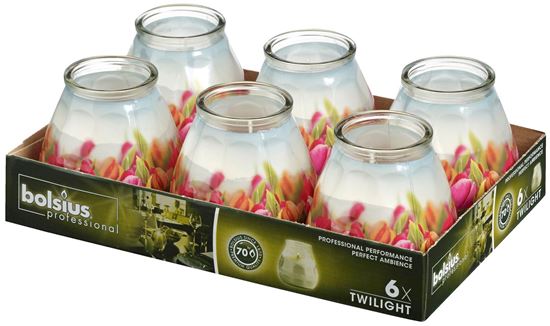 Afbeelding van Twilight Specials tulpen